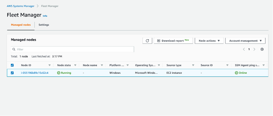 Figure 1: Fleet Manager managed nodes view in the console