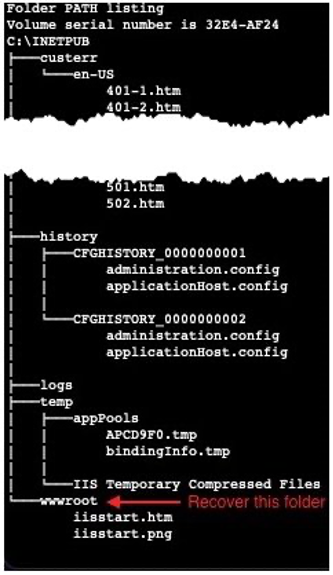 Screenshot showing a “tree” view of the directory structure for C:\INETPUB with an arrow indicating the C:\INETPUB\wwwroot directory as the one that we want to recover.