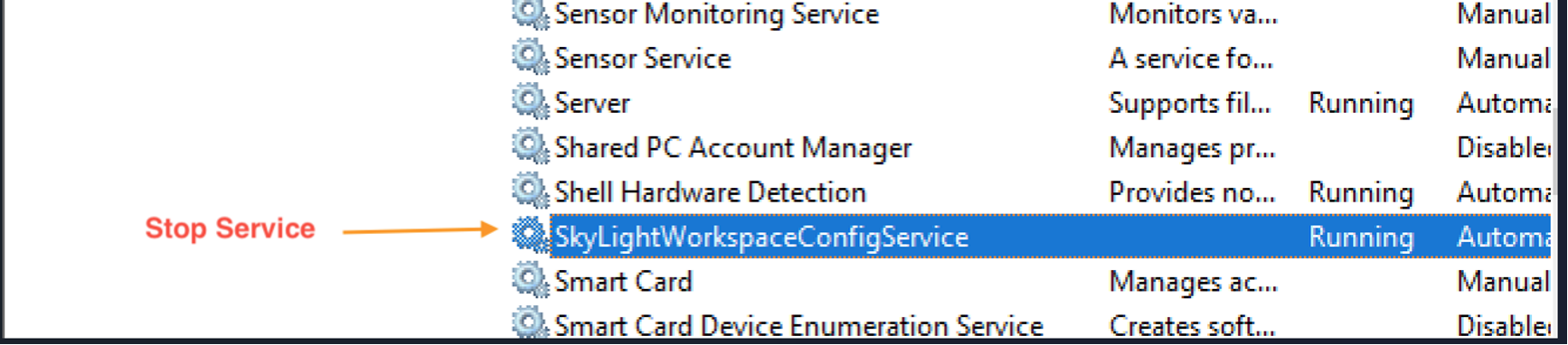 Fig 1.7: Sample of SkyLightWorkspaceConfigService Service in Amazon WorkSpaces control services panel