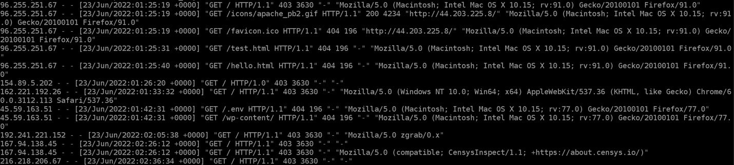 Screenshot of an Amazon EC2 instance terminal, displaying several examples of HTTP access logs