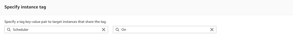 Specify a tag key-value pair to target instances that share the tag.