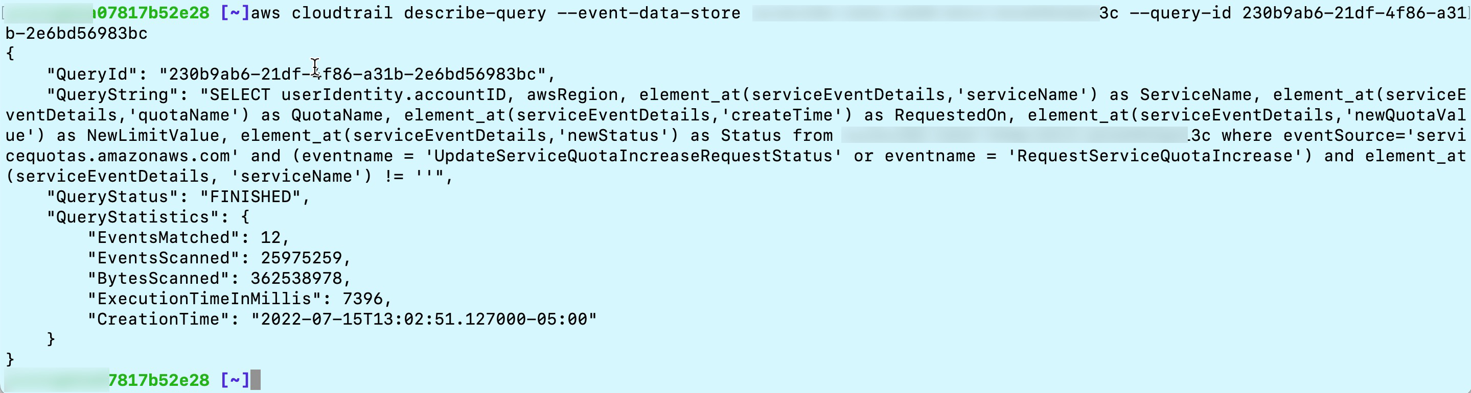 Figure 5.1. Run Describe-query command to check status and output meta data.