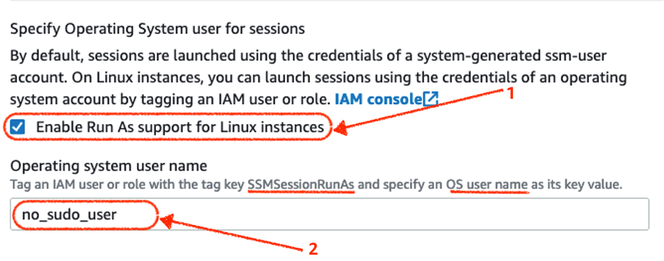 Enabling Run As feature on Session Manager and setting as the default OS user no_sudo_user.