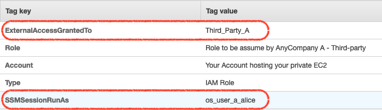 Tags on the IAM role to open session on the private EC2 instances with RunAs