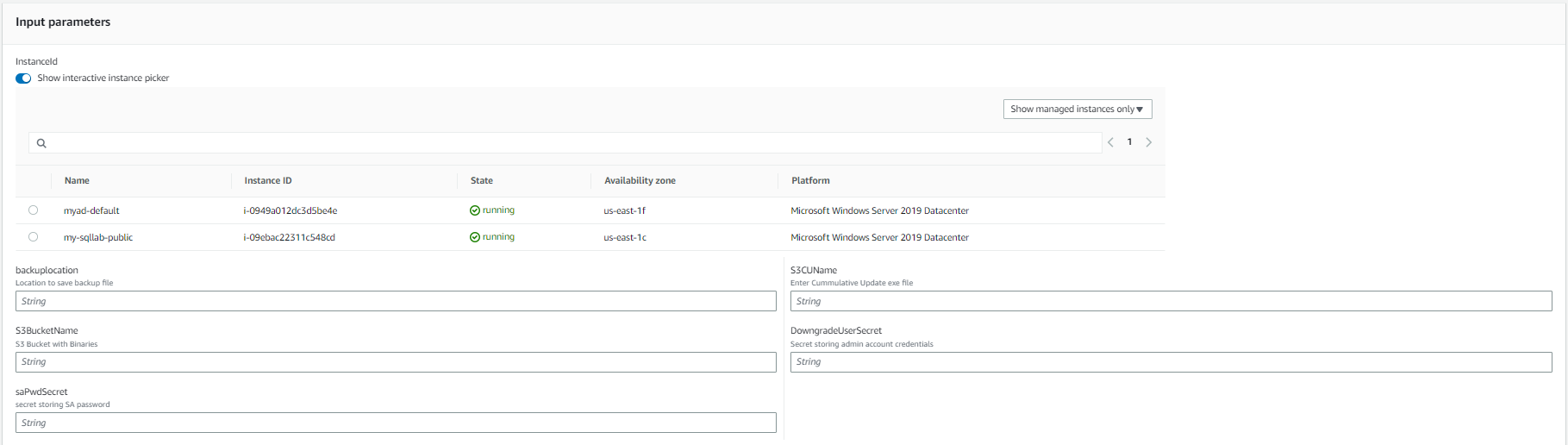 Figure 3 AWS SSM Document parameters