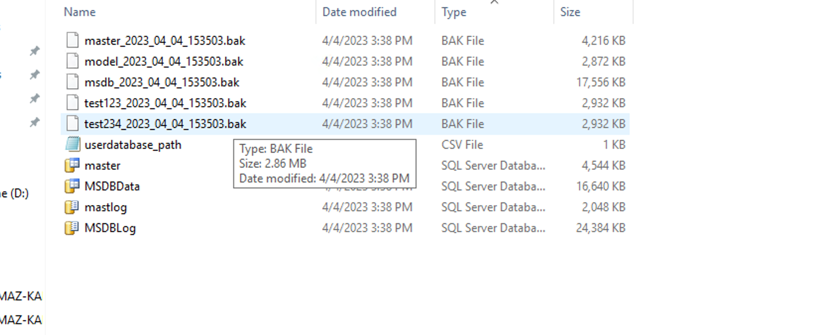 Figure8 Backup folder contents