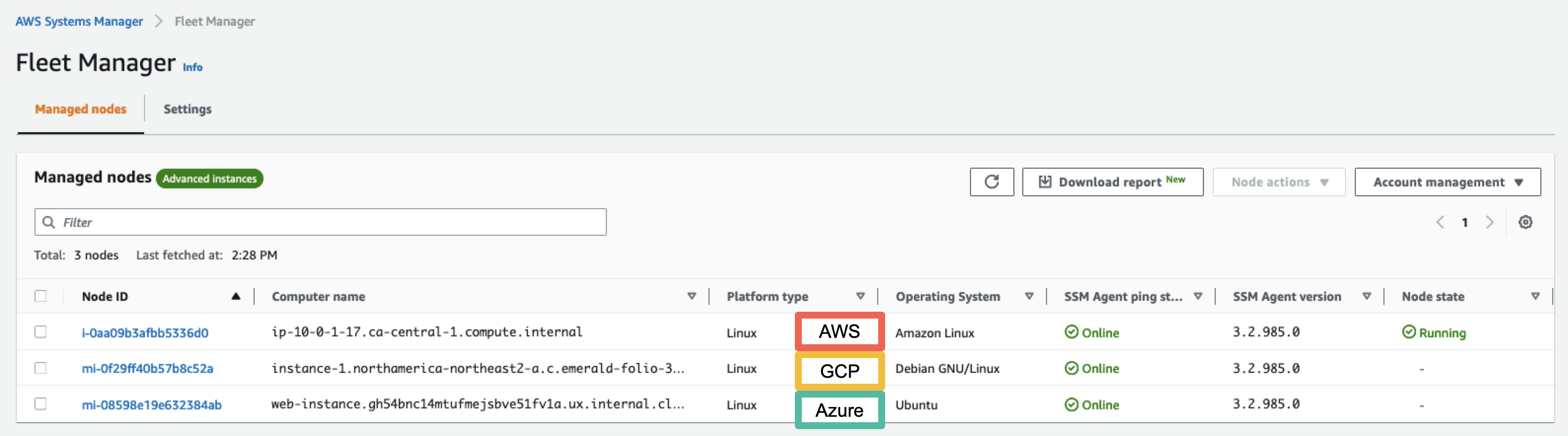 Screenshot of AWS SSM Fleet Manager showing all the managed instances