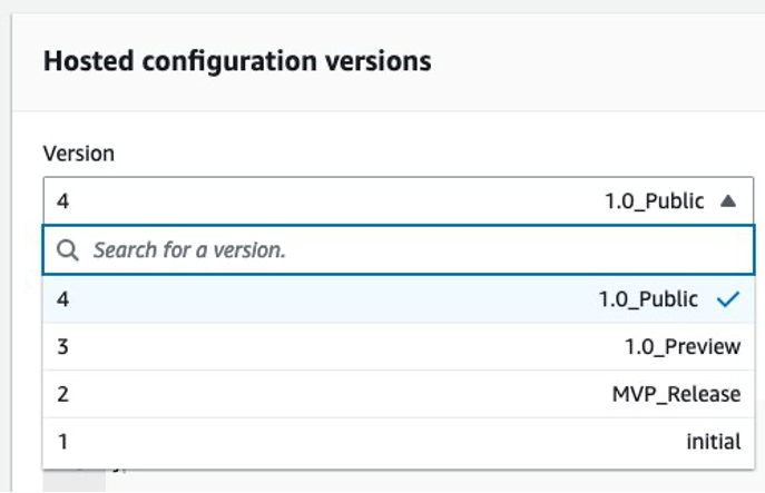 Figure 1. Display of Version Labels next to version number in the AWS Management Console