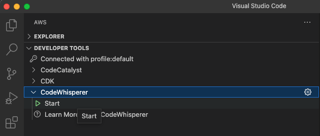 Start CodeWhisperer from developer tools