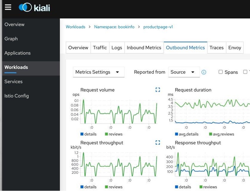 Figure 2 - Kiali Dashboard - Workloads