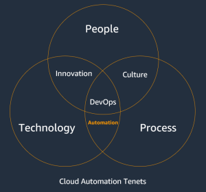 Figure 1: People, Process and Technology