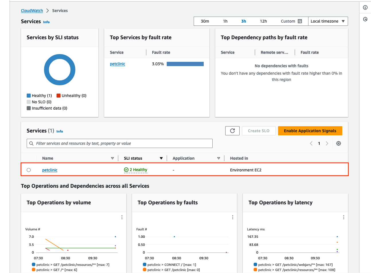 Services console page consisting of key application service metrics