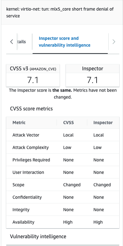 Image 4: Detailed view of Amazon Inspector detected vulnerability