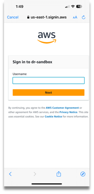 AWS Access Portal username screen.