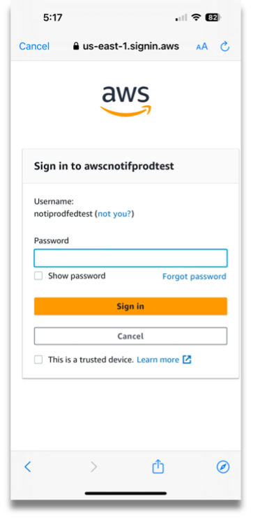 AWS Access Portal password screen.