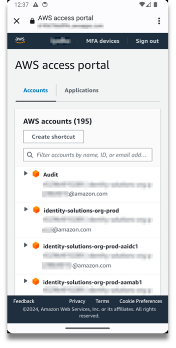 AWS Access Portal accounts screen.