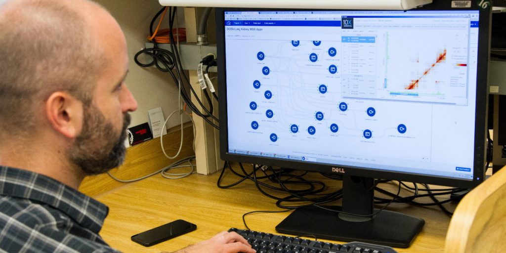 DNA Genotyping and Sequencing. A bioinformatician analyzes DNA integration data