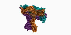 Spike Protein in the "open" conformation - our F@h simulations capture the complete process of opening