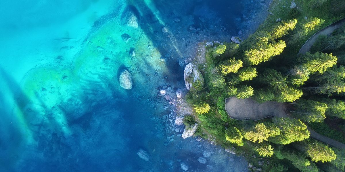 aerial view of forest and ocean