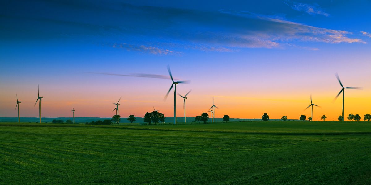 wind turbines green field at sunset