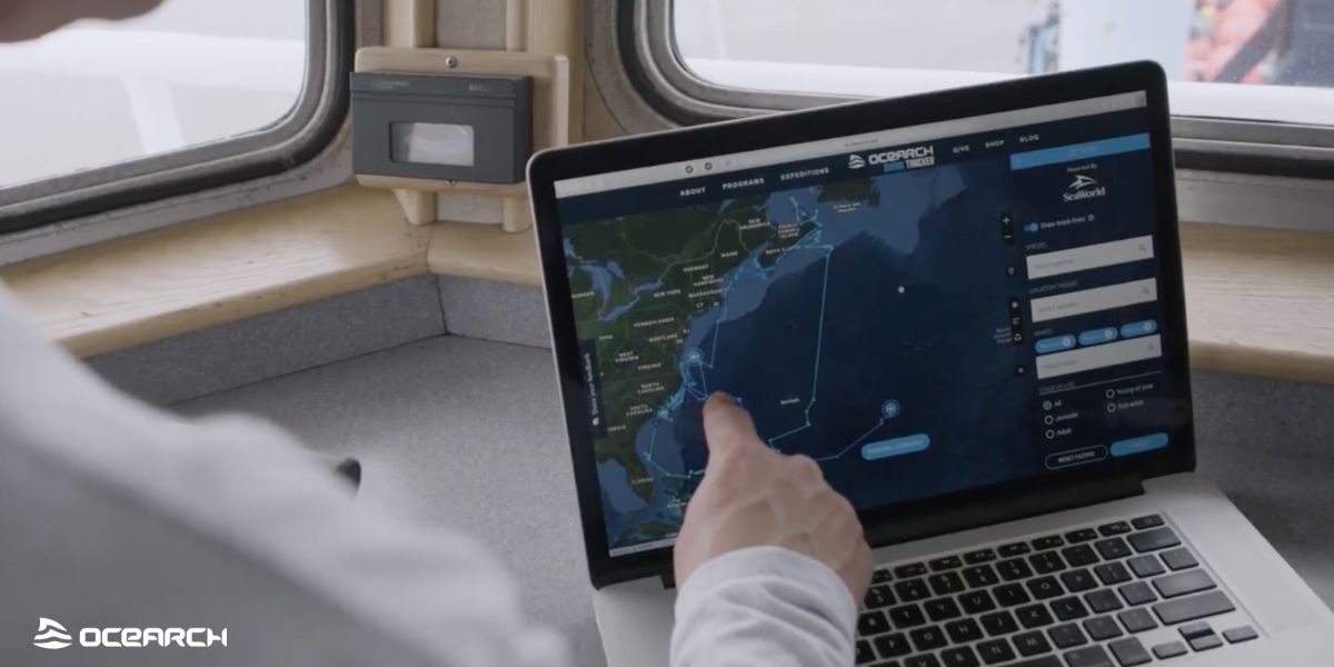 close up of laptop showing tracking of sharks via OCEARCH along the US Carolina coastline