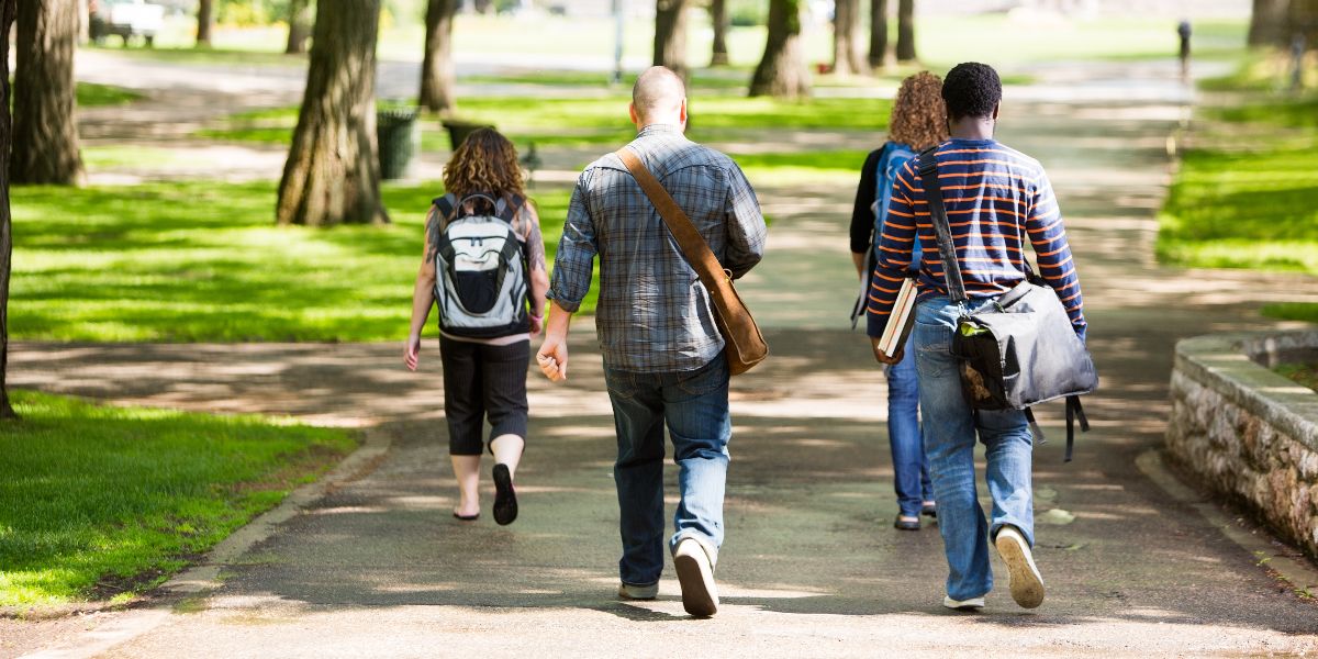 four students walking along a tree-lined path on a college campus