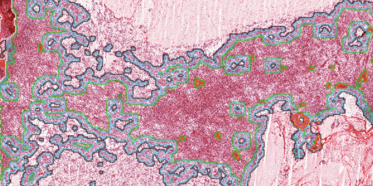 Open Science Week - Allen Institute