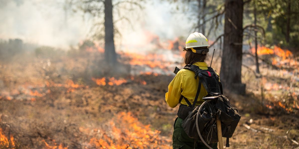 A long-haired firefighter looks out across a forest landscape covered in flames.