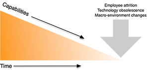 Figure 2. Effect of time on capabilities.