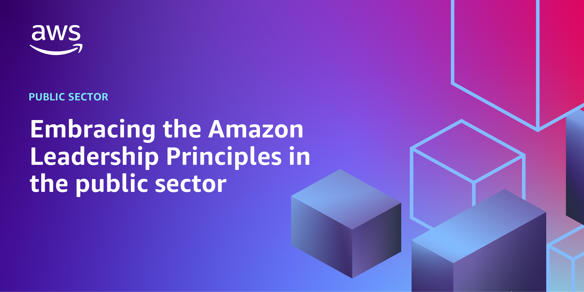 AWS branded background design with text overlay that says "Embracing the Amazon Leadership Principles in the public sector"