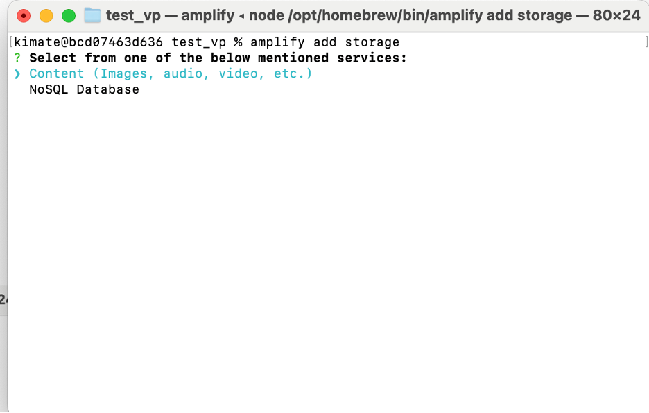 Add amplify storage: choose Content option.