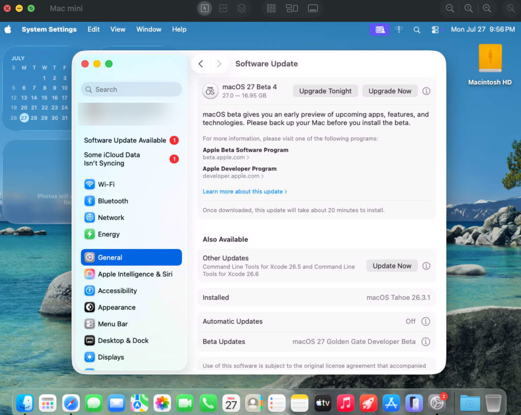 Figure 4a: System Settings, Software Update with the beta seed enrolled (personal account details redacted)