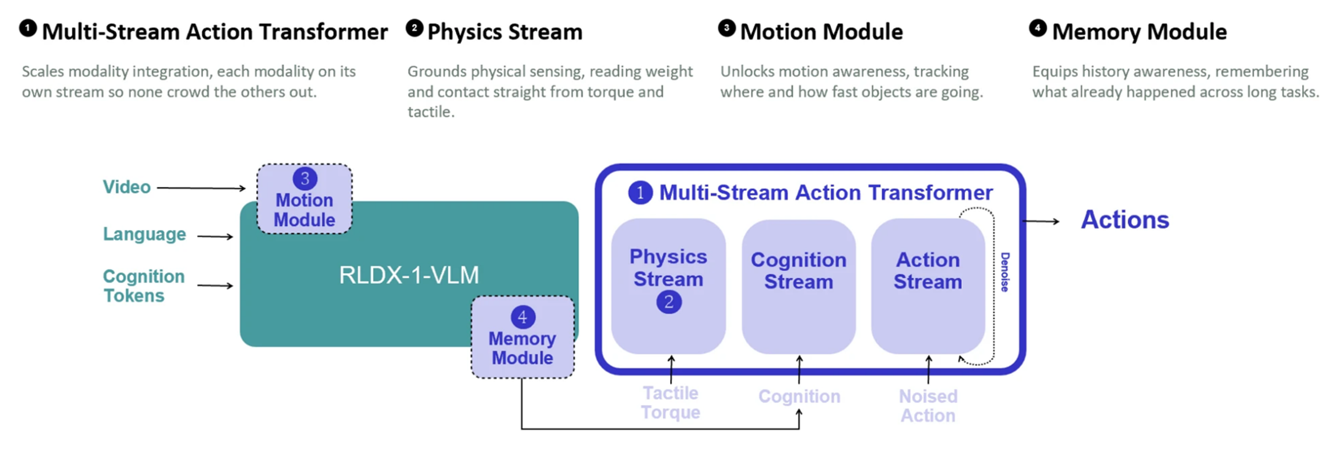 Figure 1: Inside RLDX-1 : separate streams for sight, touch and action