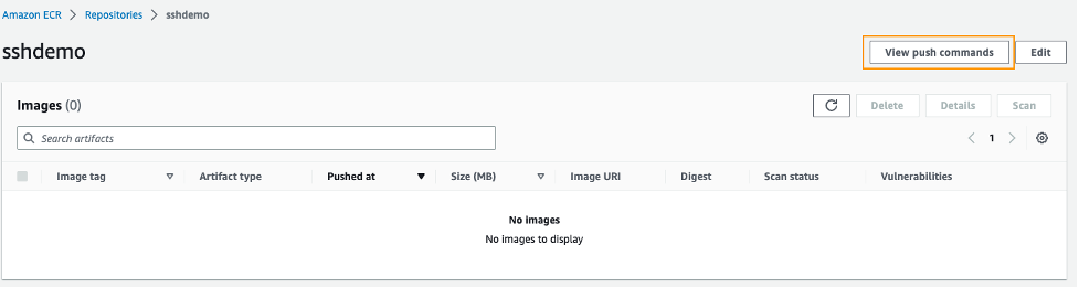 Figure 3: Create and access the ECR repository