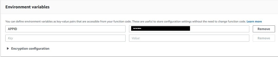 Lambda Function Environment Variables