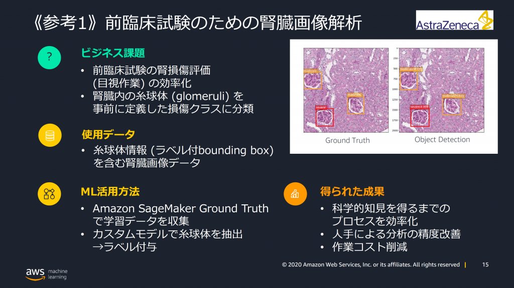 製薬業界向けAIMLセミナー　前臨床試験のための腎臓画像解析