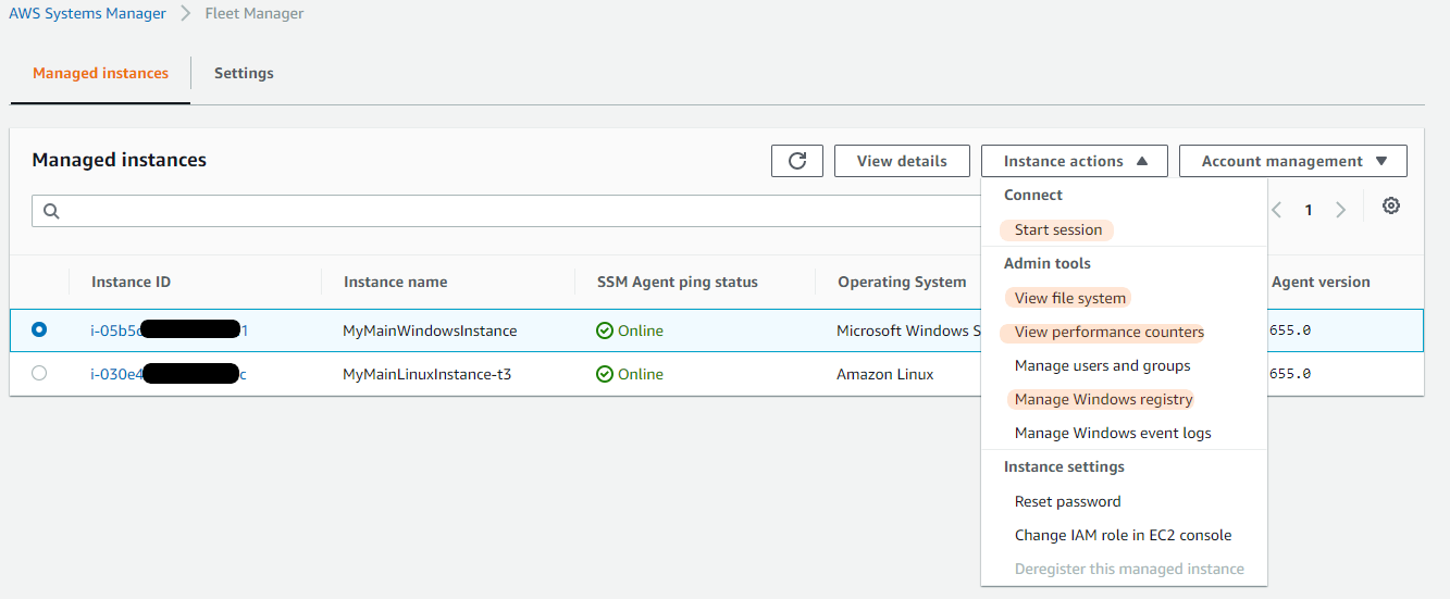 The Instance actions dropdown includes Start session, View file system, View performance counters, and Manage Windows registry.