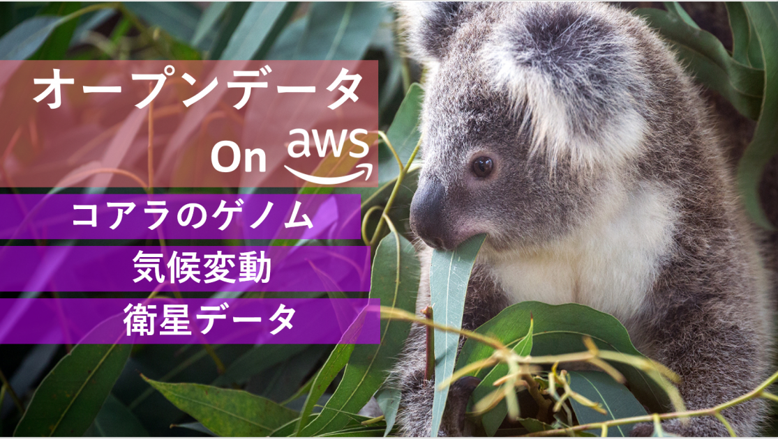 Open Data on AWSに、コアラのゲノム、気候変動、衛星データなどの新た