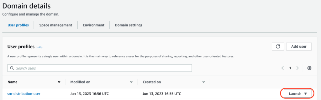 Sagemaker domain detail