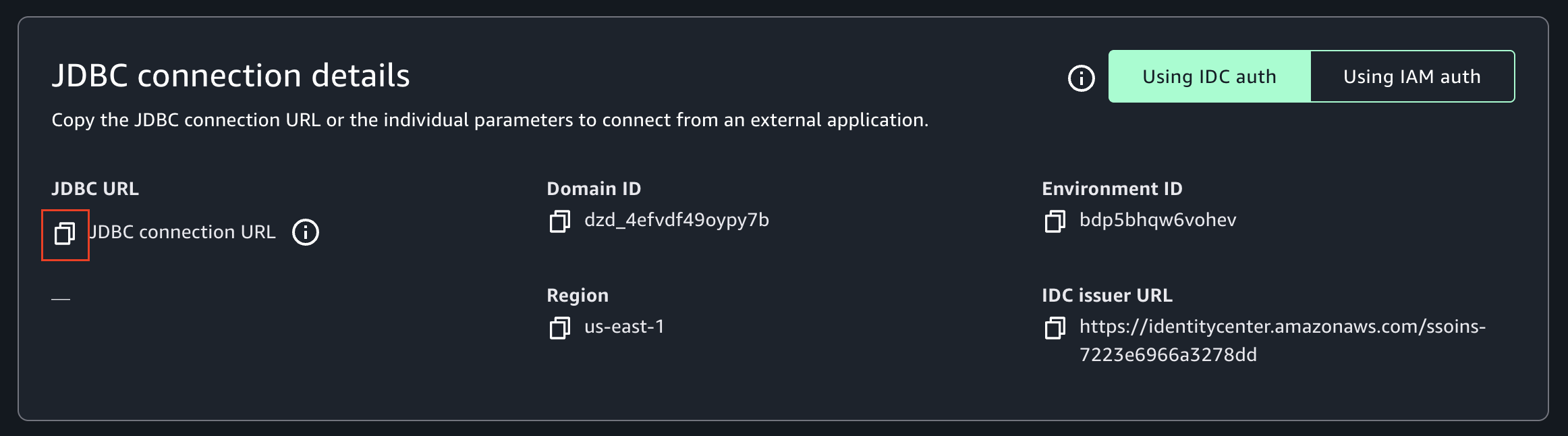 JDBC connection details configuration panel with IDC authentication parameters and copy functionality