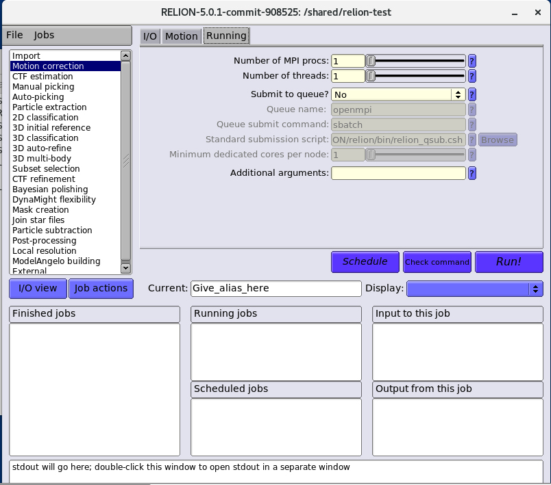 RELION GUI Runningタブ設定画面