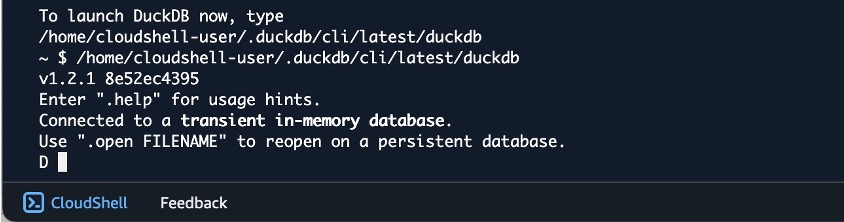Figure 11_Launching DuckDB instance