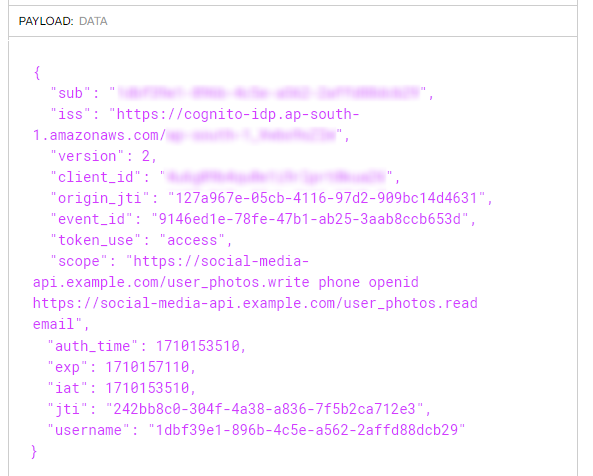 Figure 5: Decoded JWT token