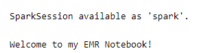 Output shows newly created spark session.