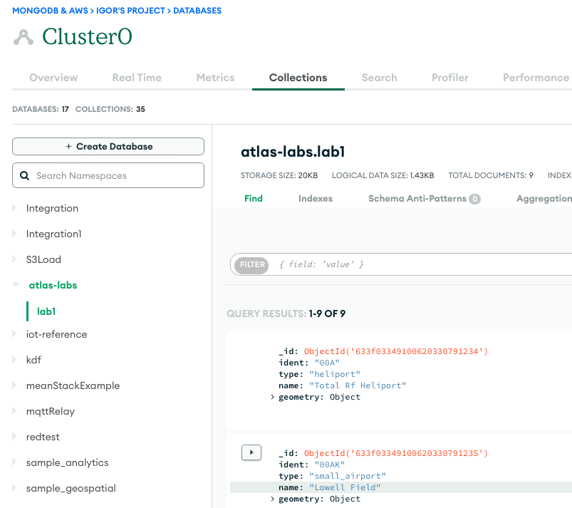 Data Loaded into MongoDB Atlas Cluster