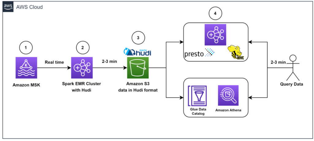 Dafiti Blog: a complete analysis - E-commerce and Digital