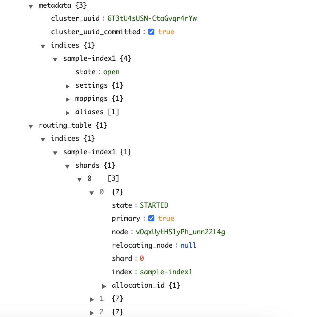 Cluster metadata showing index and shard configuration