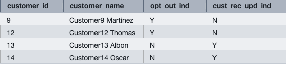 Figure 3: customer_opt_out result set