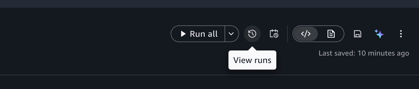 Notebook header with the View Runs option highlighted