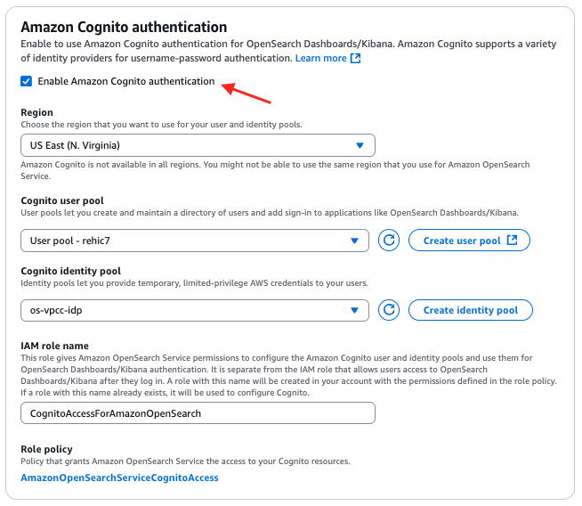 Amazon OpenSearch Service domain access policy editor showing a JSON policy granting access to the configured IAM principals